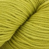 K. Chameleon